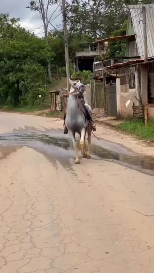 TikTok video thumbnail by foued318