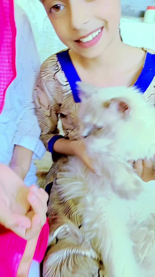 TikTok video thumbnail by aliasghar7094