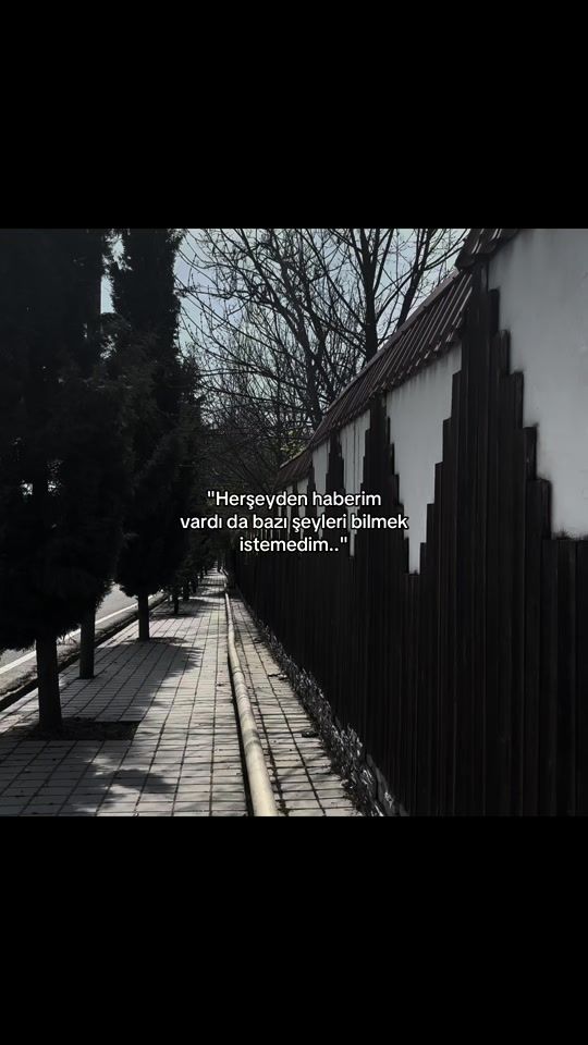 TikTok video thumbnail by almemmedows__