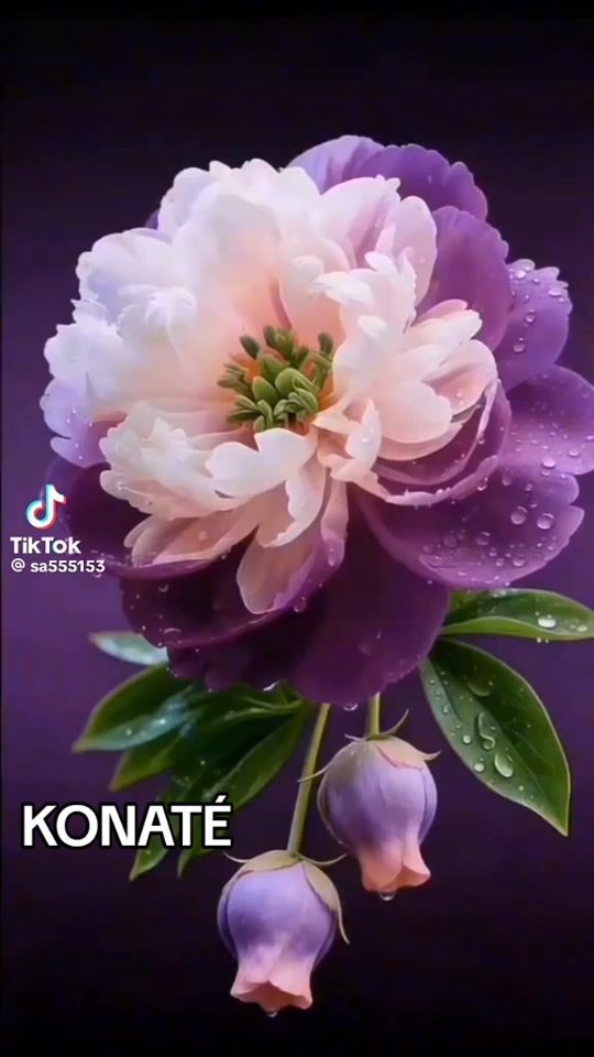 TikTok video thumbnail by 0506konate
