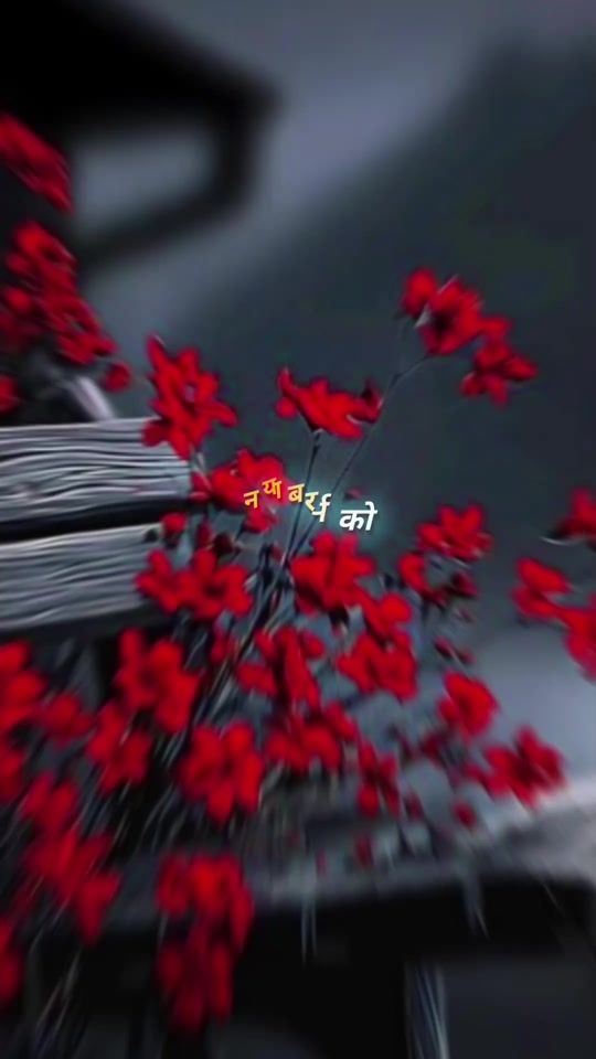 TikTok video thumbnail by bp3203