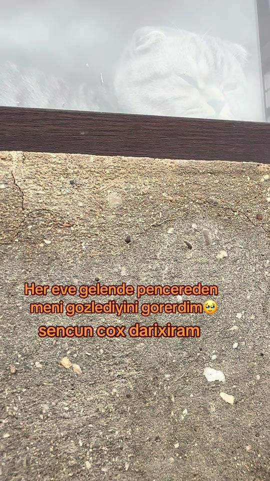 TikTok video thumbnail by a_cavadovaa