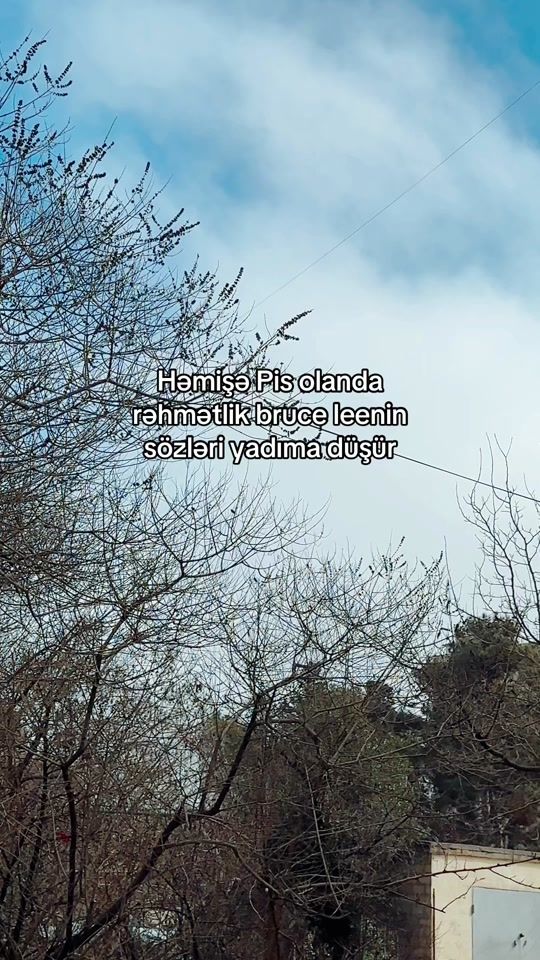 TikTok video thumbnail by _sevgimidin