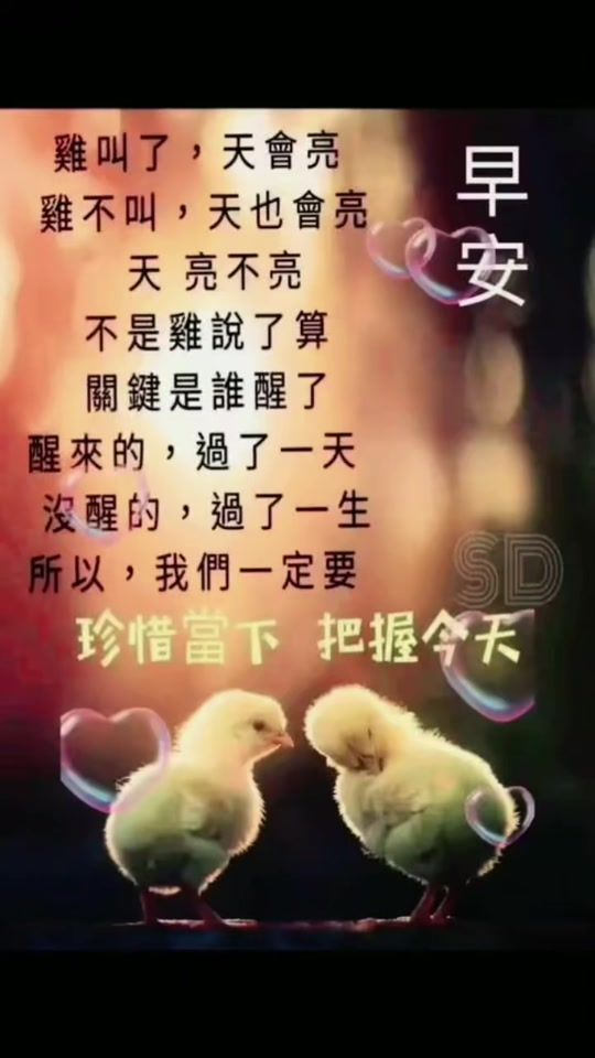 TikTok video thumbnail by user011471061