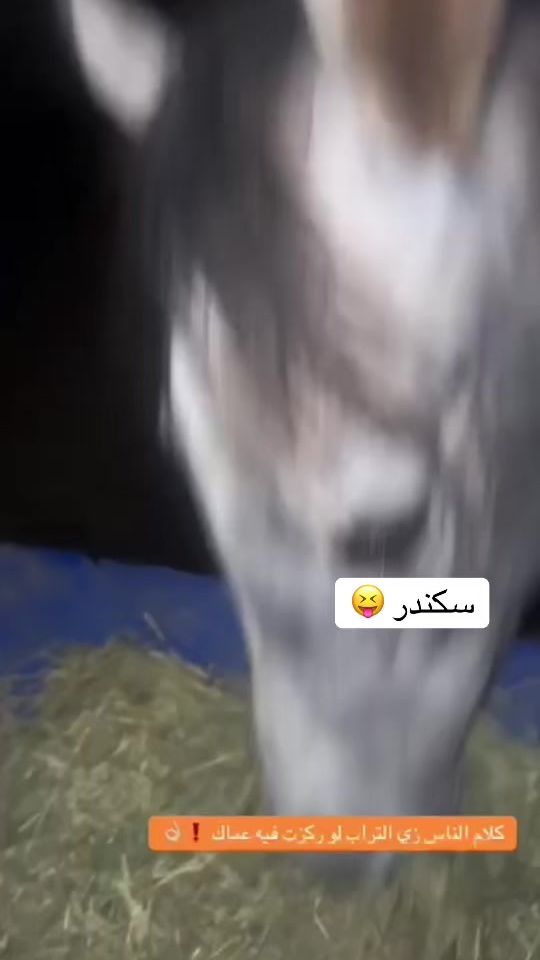 TikTok video thumbnail by slmansa855