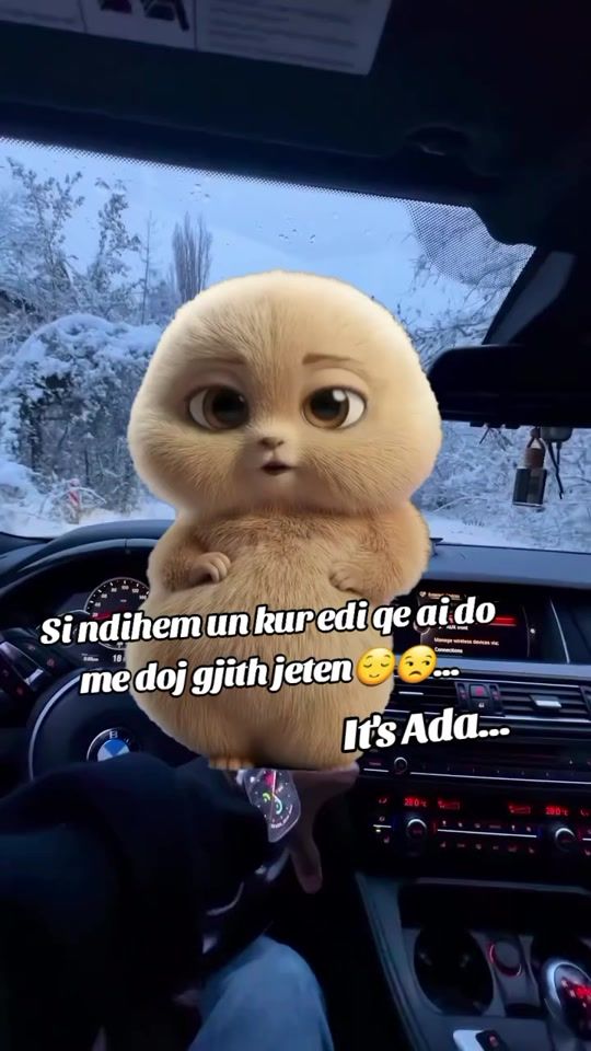 TikTok video thumbnail by itts_adaa_l