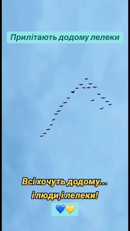 TikTok video thumbnail by oksymass