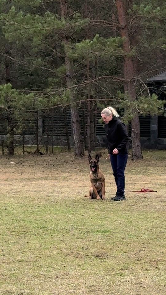 TikTok video thumbnail by yara.malinois