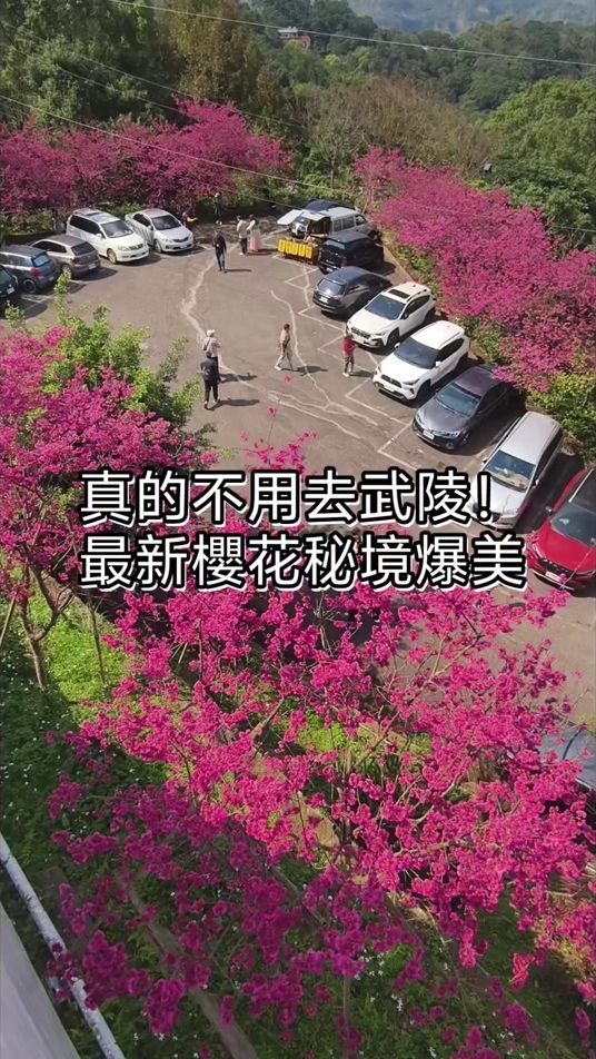 TikTok video thumbnail by darrenappletree