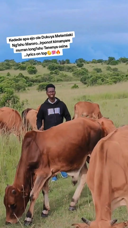 TikTok video thumbnail by dannypro_yanty