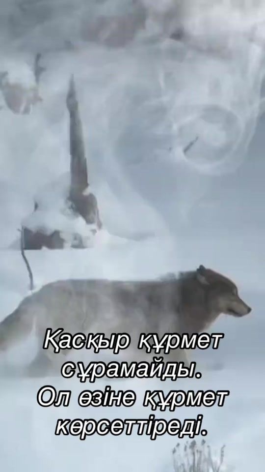TikTok video thumbnail by talgat_k.t.i