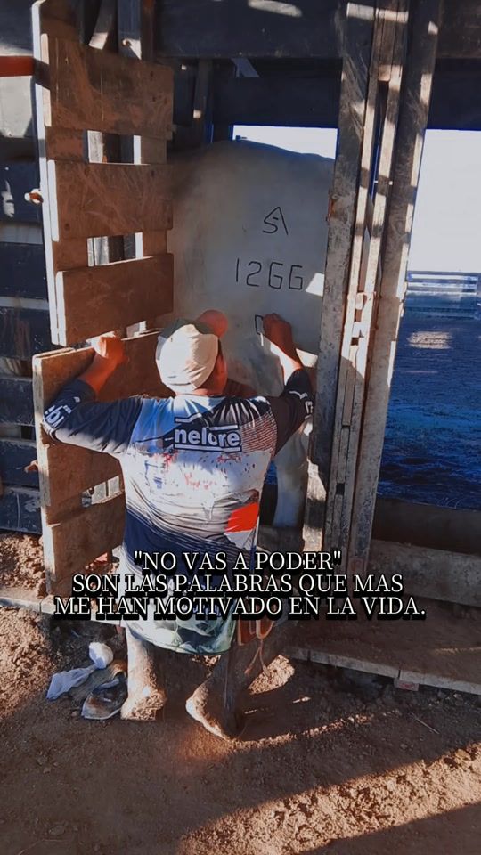 TikTok video thumbnail by dieguitoozuna