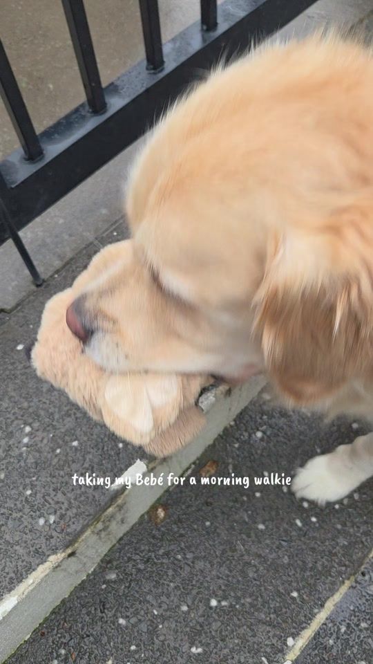 TikTok video thumbnail by goldenduonz