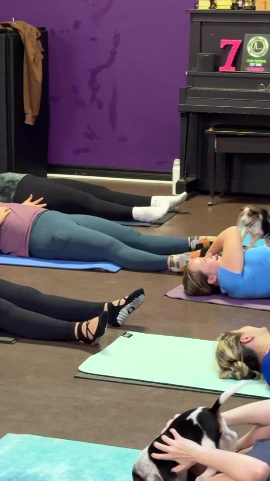 TikTok video thumbnail by muskokapuppyyoga0