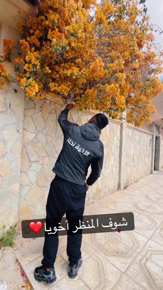 TikTok video thumbnail by daoudbouradi