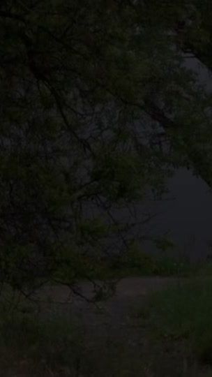 TikTok video thumbnail by v_hs8