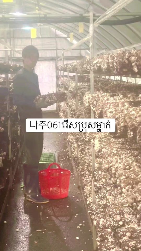 TikTok video thumbnail by k.t.g89