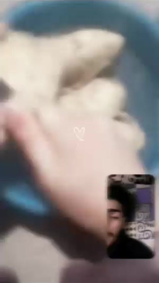 TikTok video thumbnail by ani.4.9.1