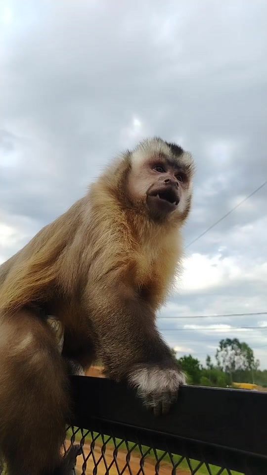 TikTok video thumbnail by haru20_23
