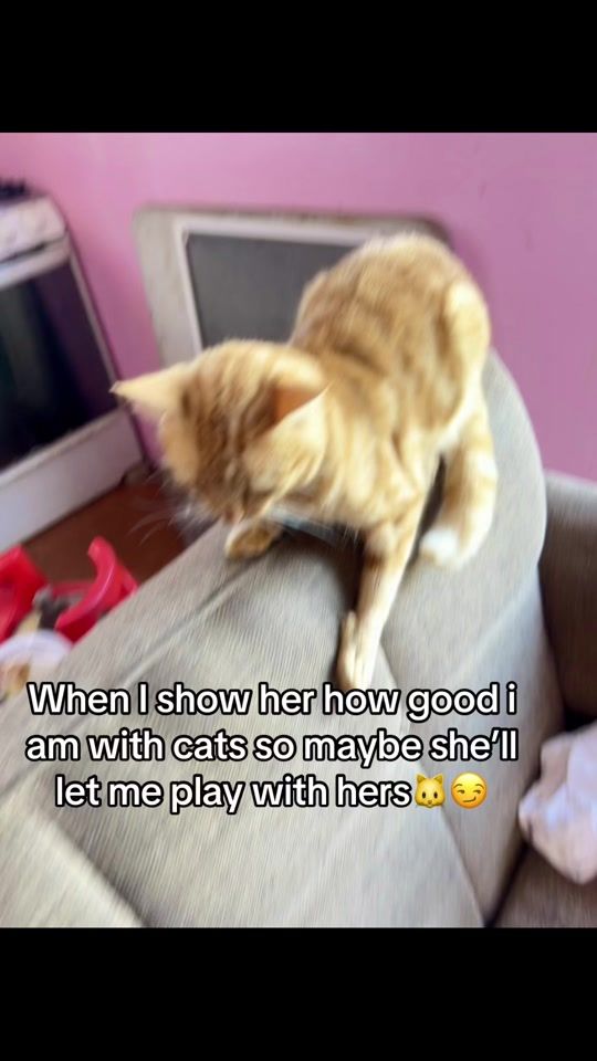 TikTok video thumbnail by jays_words