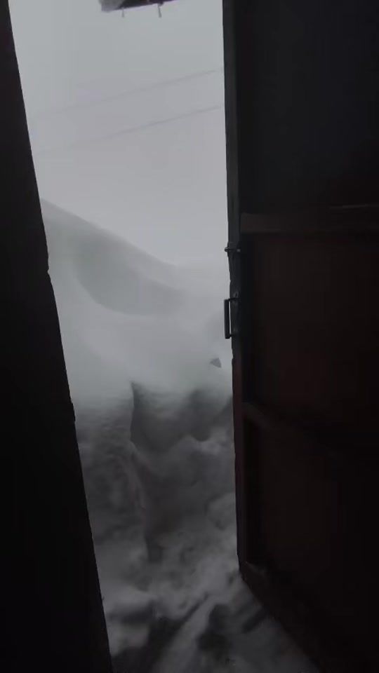 TikTok video thumbnail by kusarionline
