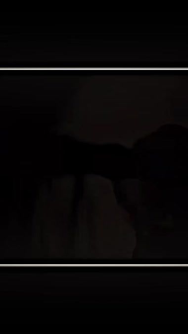 TikTok video thumbnail by fh13p