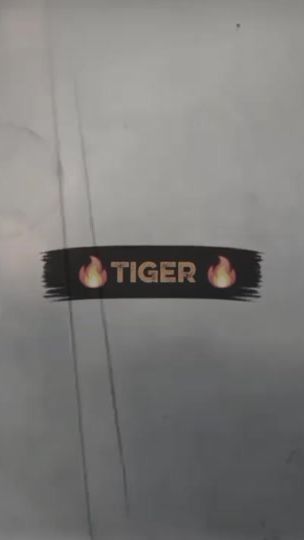 TikTok video thumbnail by king748428