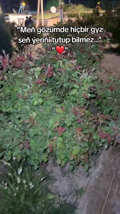 TikTok video thumbnail by weli_72