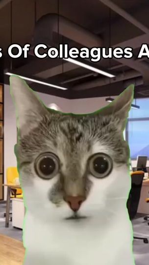 TikTok video thumbnail by haula7953