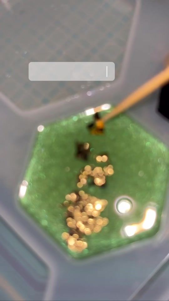 TikTok video thumbnail by rezin.space