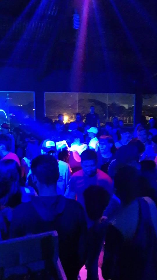 TikTok video thumbnail by garden.disco.pub