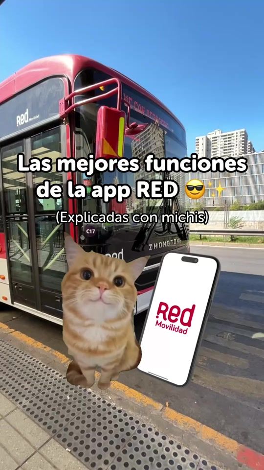 TikTok video thumbnail by red_movilidad