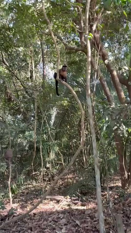 TikTok video thumbnail by the.prince_4
