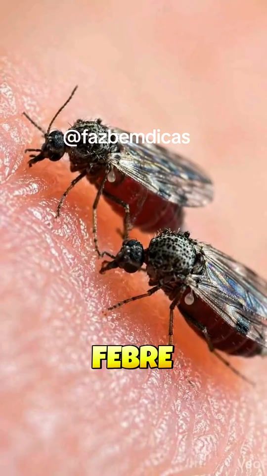 TikTok video thumbnail by fazbemdicas