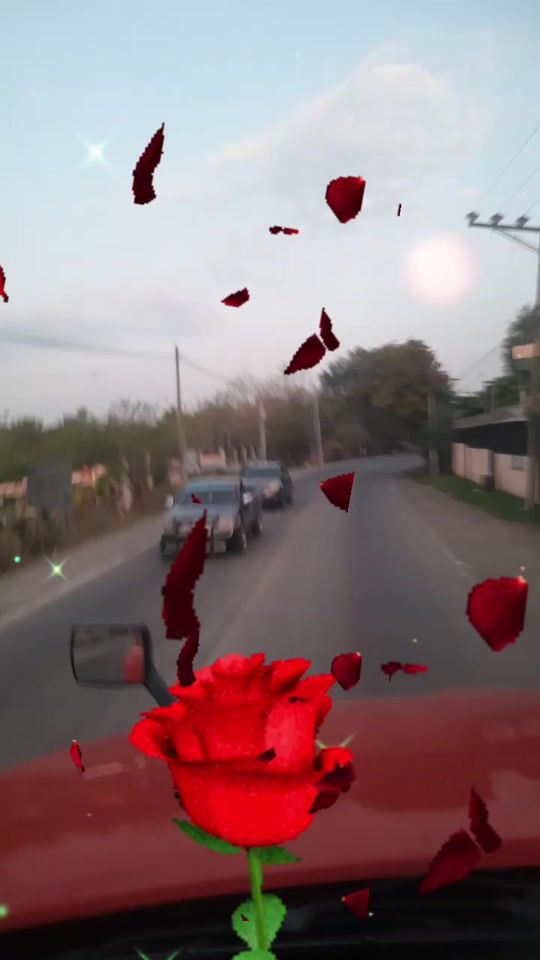 TikTok video thumbnail by job...0