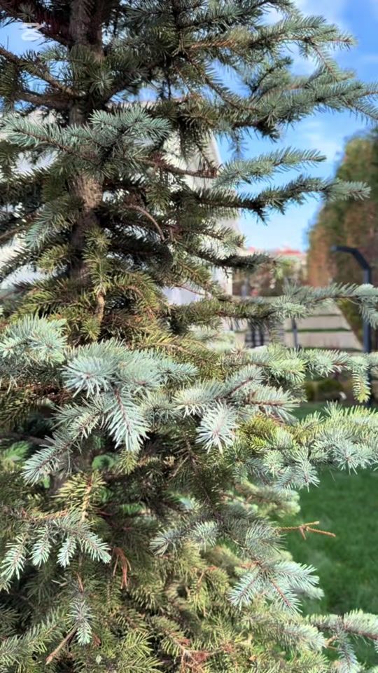 TikTok video thumbnail by ekremincel