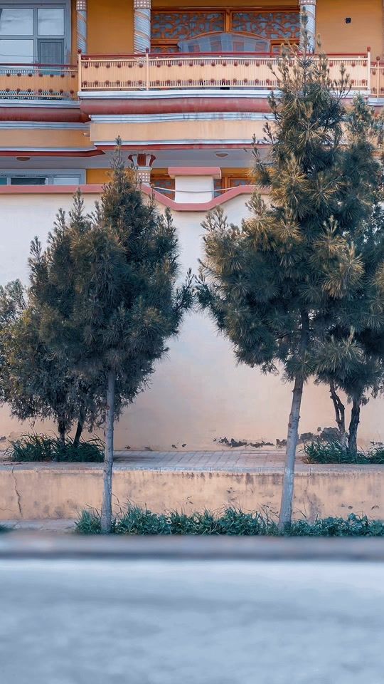 TikTok video thumbnail by tyt_elyas_