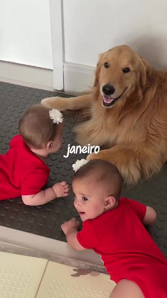 TikTok video thumbnail by magaligolden