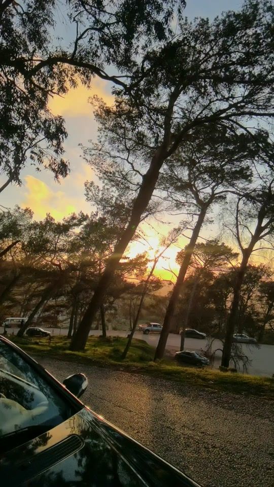 TikTok video thumbnail by salem_elshaari