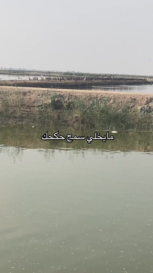 TikTok video thumbnail by edn_673
