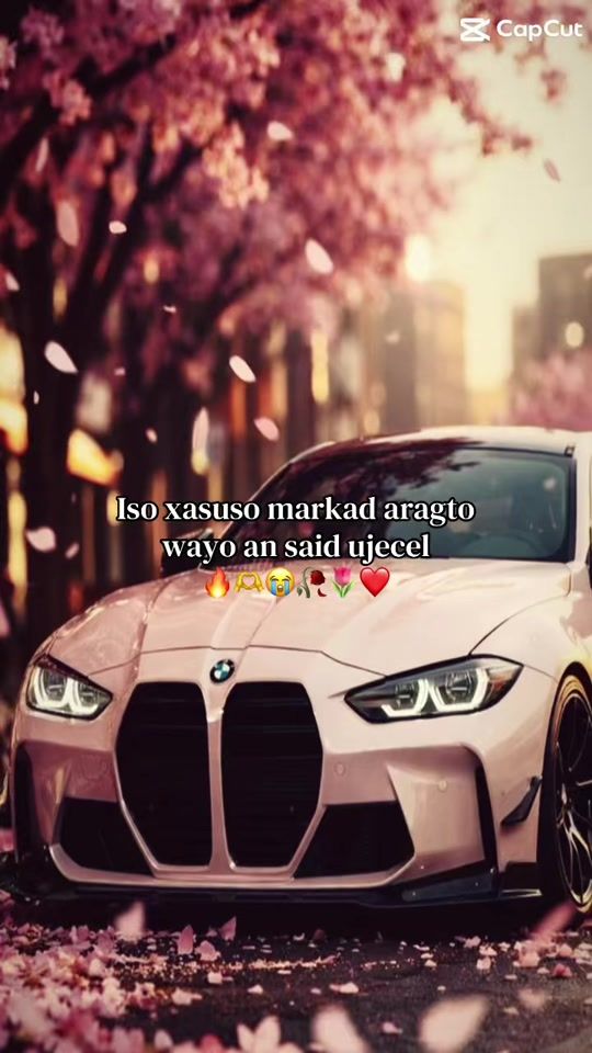 TikTok video thumbnail by sinemunsal18