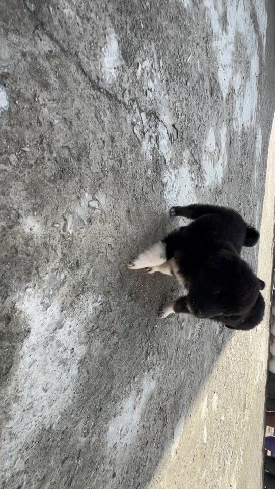 TikTok video thumbnail by osel48