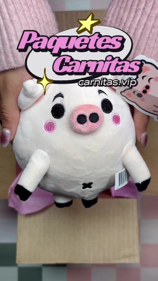 TikTok video thumbnail by carnitas.vip