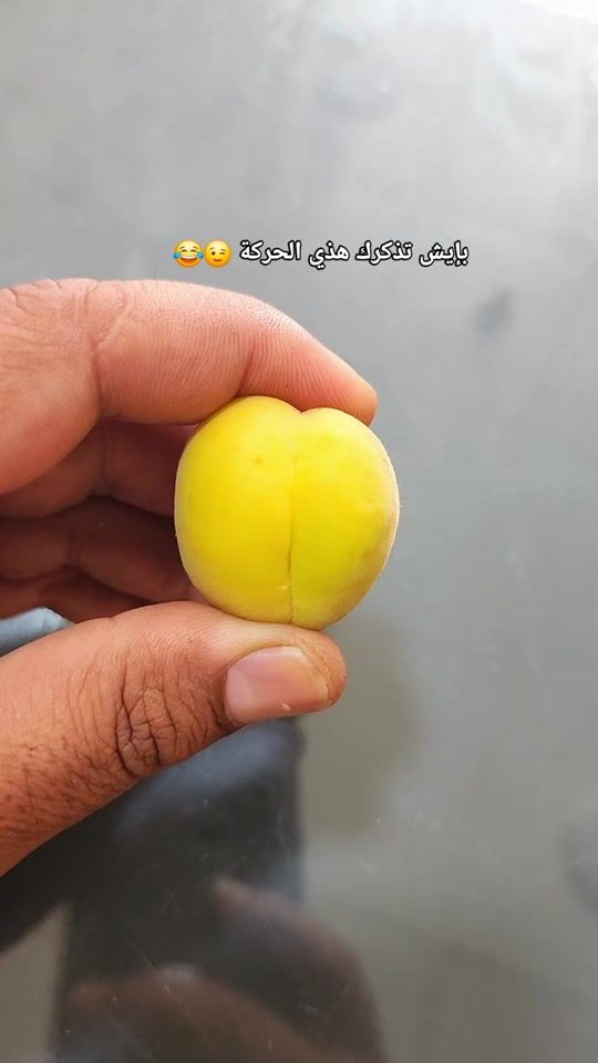 TikTok video thumbnail by raqedlil