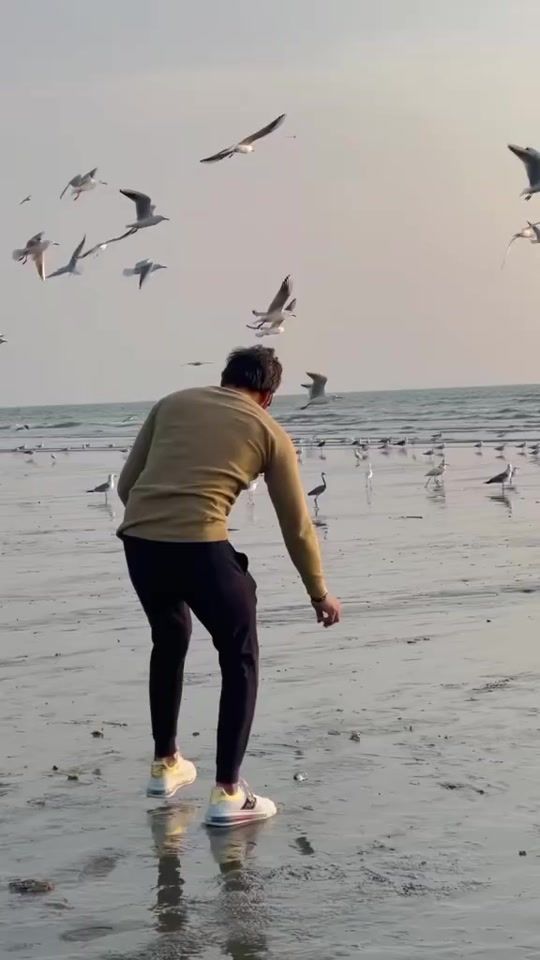 TikTok video thumbnail by irsho33