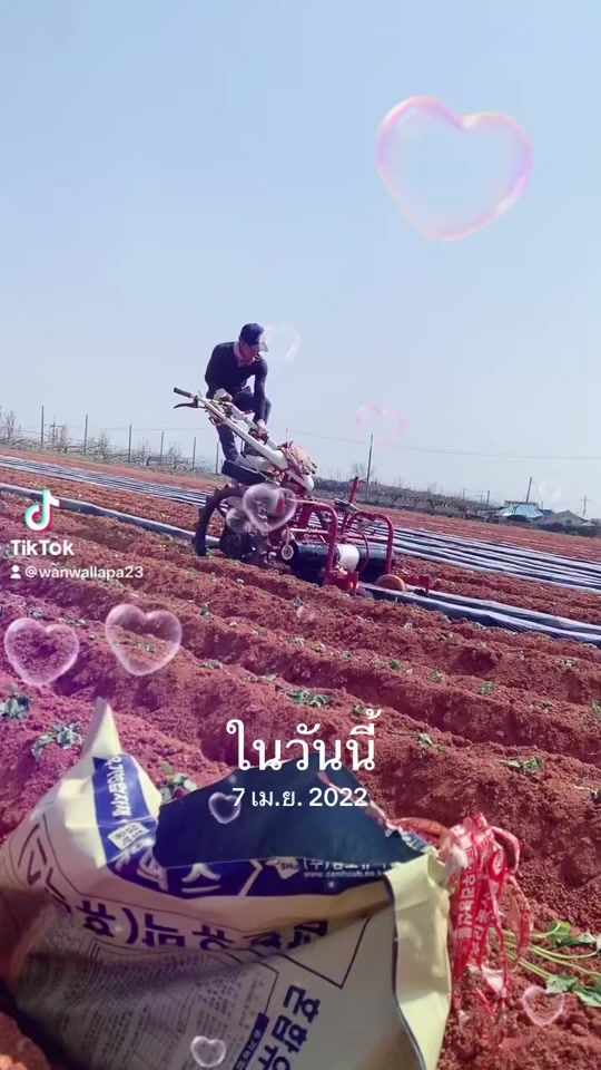 TikTok video thumbnail by wallapamuepoku1998