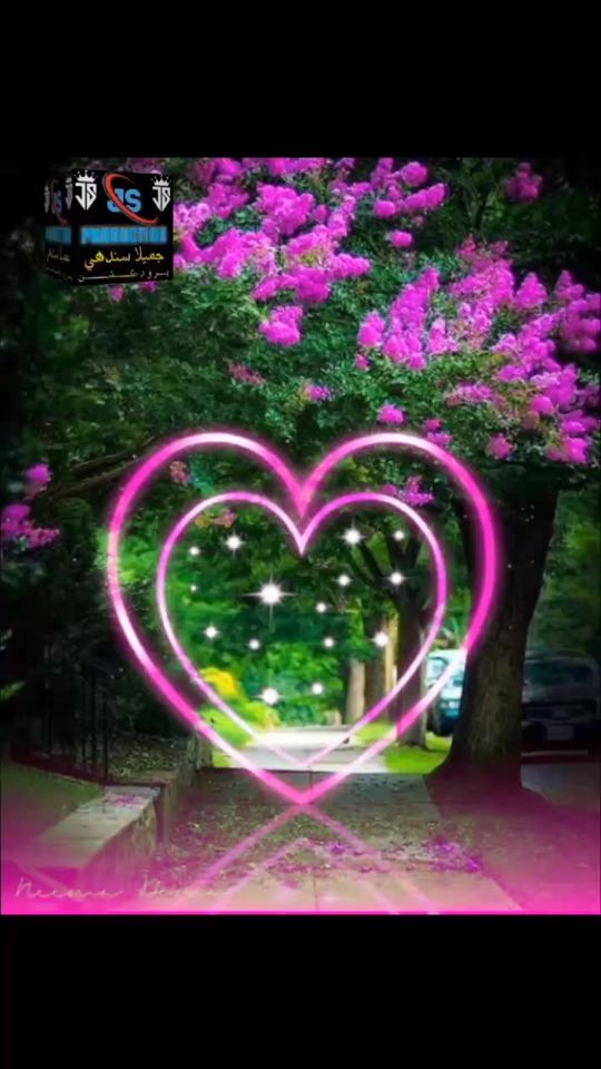 TikTok video thumbnail by jamila.sindhi
