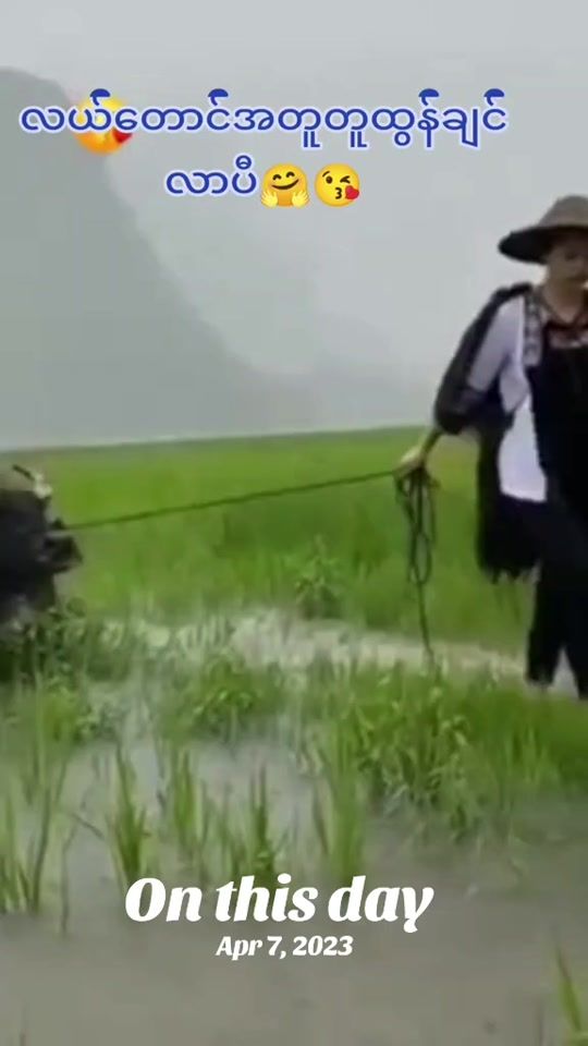 TikTok video thumbnail by zinmin4363