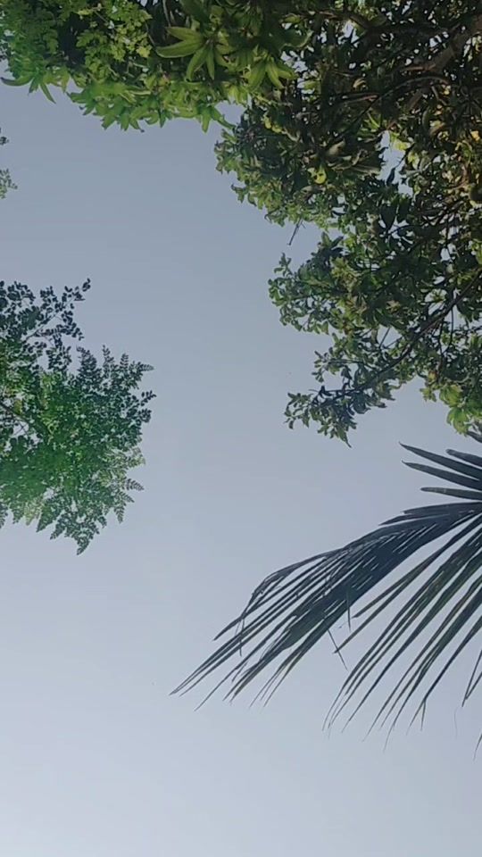 TikTok video thumbnail by jatheesh.777