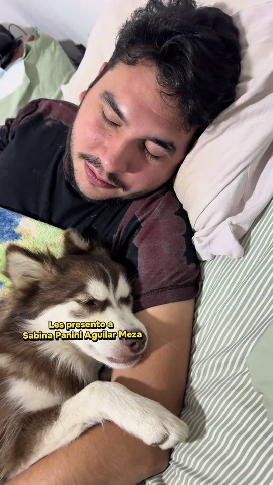 TikTok video thumbnail by la_pomsky